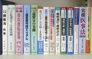 弁護士費用・受任実績のイメージ